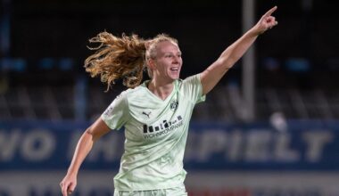 WDR-Sport: Transferticker: Rieke wechselt nach Rom, Bochum trennt sich von Elezi
