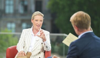 Das ARD-Sommerinterview mit AfD-Vorsitzender Weidel im Faktencheck