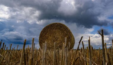 Schauer und Gewitter am Sonntag in Berlin und Brandenburg
