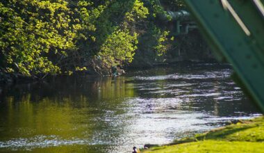 Heimat für rund 30 Fischarten: Die Renaturierung der Wupper - blickfeld