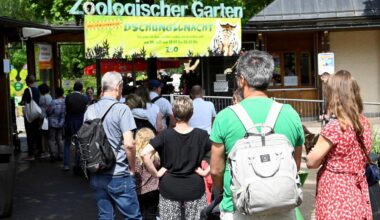 Zoo Augsburg sucht einen neuen Chef – Barabara Jantschke geht