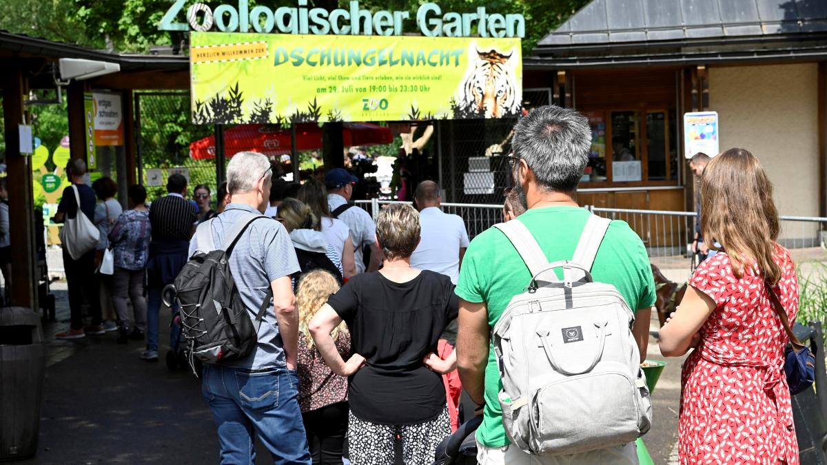 Zoo Augsburg sucht einen neuen Chef – Barabara Jantschke geht