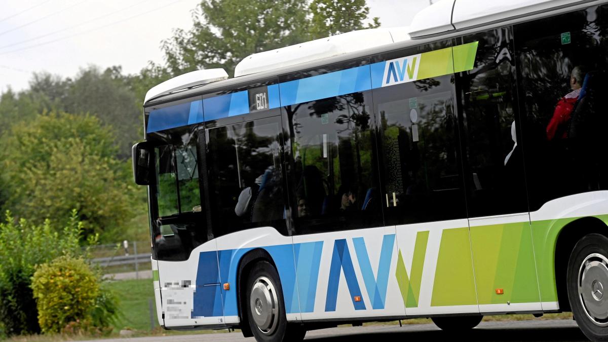 Preisvorteile und Herausforderungen für den Nahverkehr