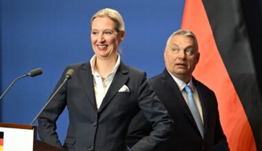 „Die Stärke der AfD verhindert, dass Politik im Sinne der rechten Wählerschaft umgesetzt wird“ - WELT