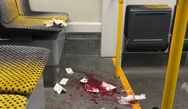 Messerangriff in Dresden: US-Bürger niedergestochen, Syrer festgenommen | Regional
