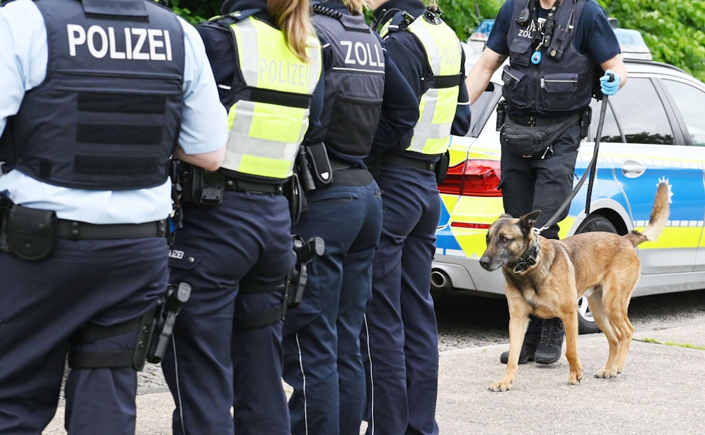 Hundequartett zweiter Teil: Das sind Kölns Superspürnasen der Polizei