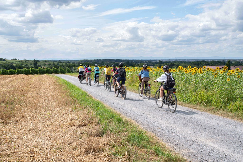 RadGuides Rhein-Neckar: Touren zum Ferienende