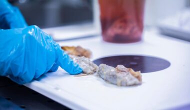 Döner-Imbiss in Bonn nach Kontrolle geschlossen - „Ekelerregend“