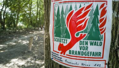 Waldbrandgefahr im Ruhrgebiet bleibt hoch