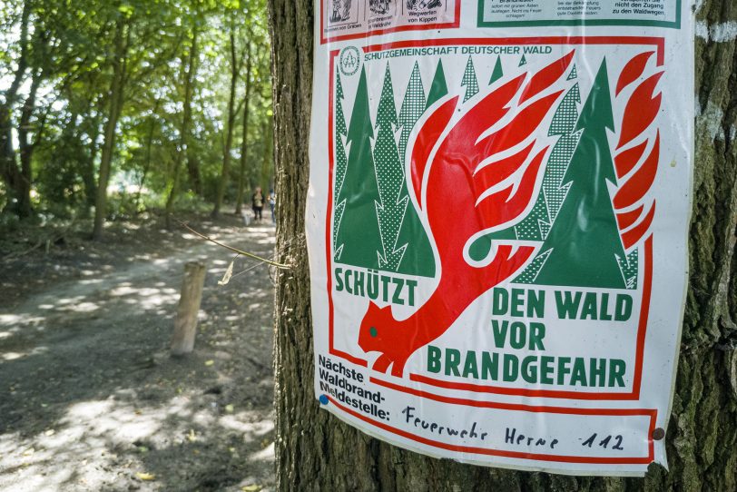 Waldbrandgefahr im Ruhrgebiet bleibt hoch