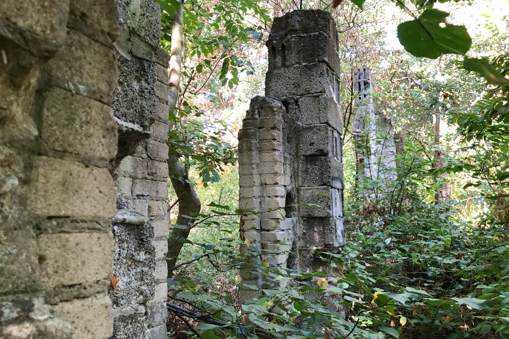 Rätselhafte Ruinen in Münster erzählen tragische Geschichte