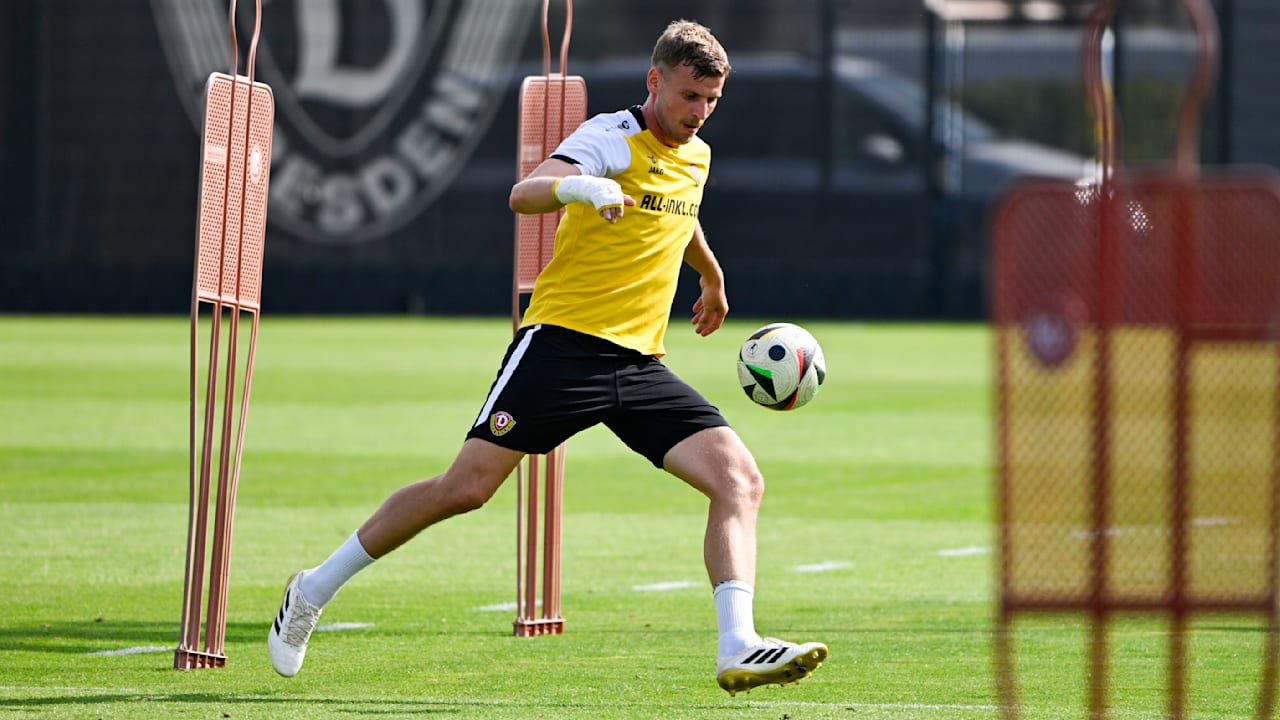 Dynamo Dresden: Wann Daferner und Vermeij zurückkehren | Sport