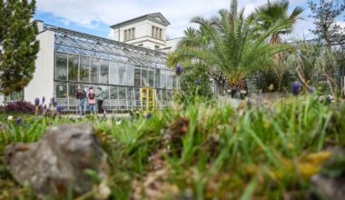 Mehrere Pflanzen wurden im laufenden Jahr aus den botanischen Gärten in Chemnitz und Dresden gestohlen. Der letzte Diebstahl im