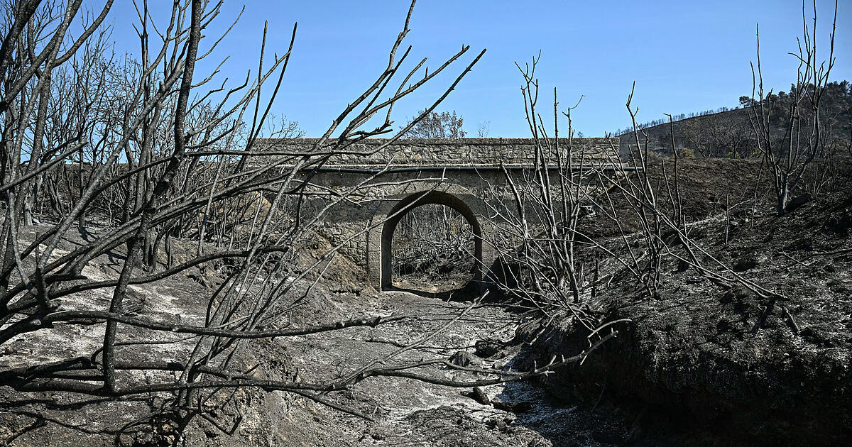 Größter Waldbrand seit 50 Jahren in Frankreichs Mittelmeerraum zerstört 17.000 Hektar Land