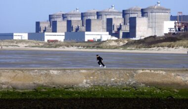 Frankreich: Tausende Quallen bringen das Atomkraftwerk Gravelines zum Stillstand