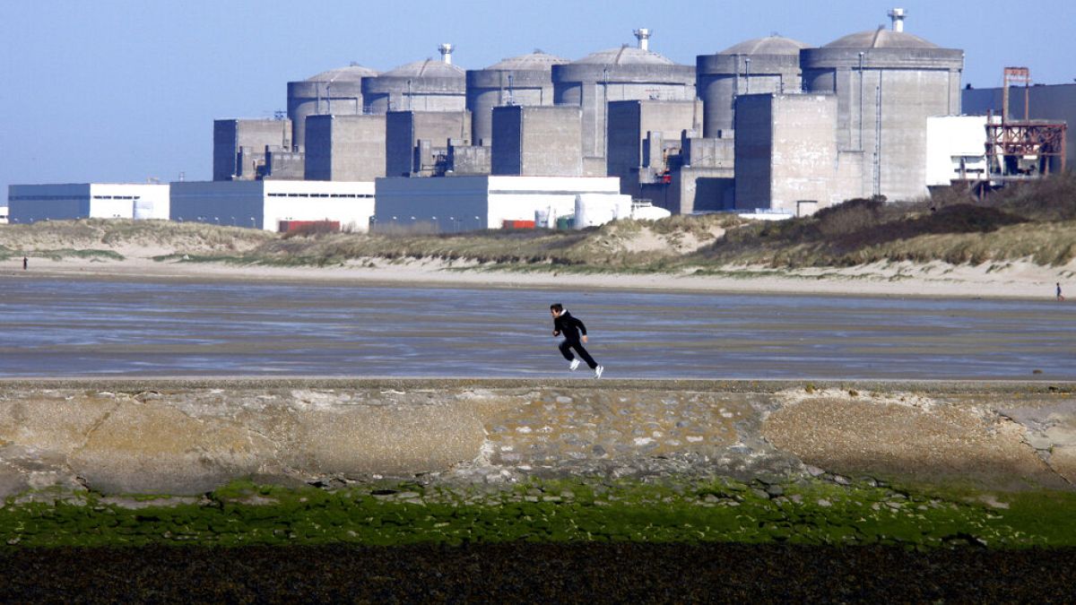 Frankreich: Tausende Quallen bringen das Atomkraftwerk Gravelines zum Stillstand