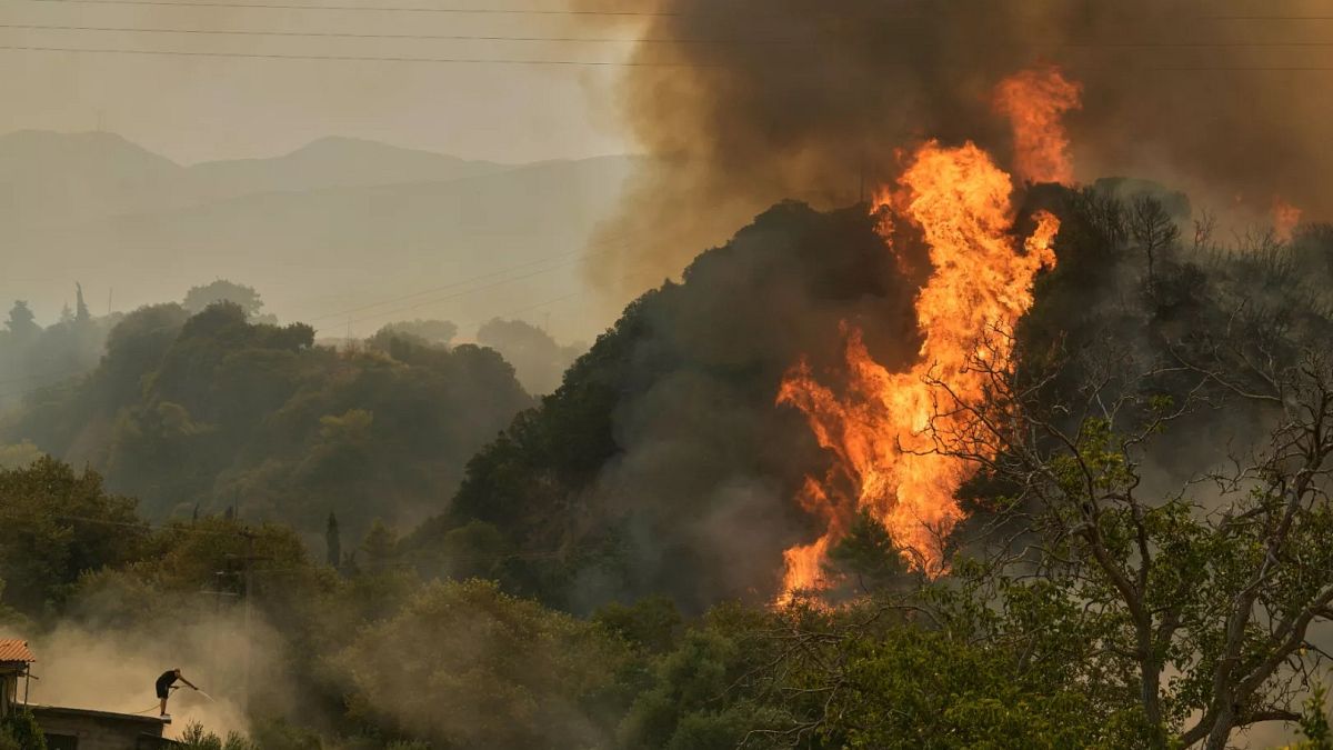 Mindestens vier Tote bei aktuellen Waldbränden in Europa: Tausende evakuiert