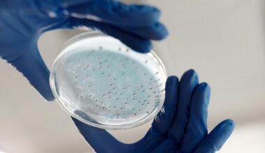 Neue Medikamente dank KI: Wissenschaftler entwickeln Antibiotika gegen Gonorrhoe und MRSA