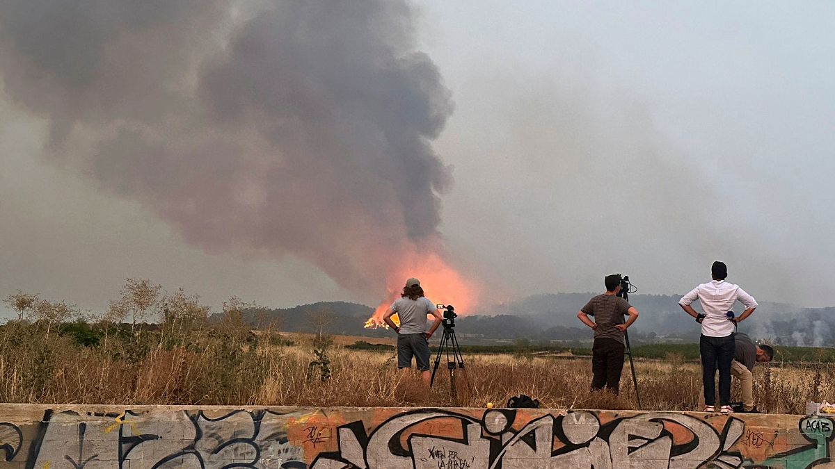 Video. Größter Waldbrand Frankreichs seit Jahrzehnten zerstört 16.000 Hektar im Süden