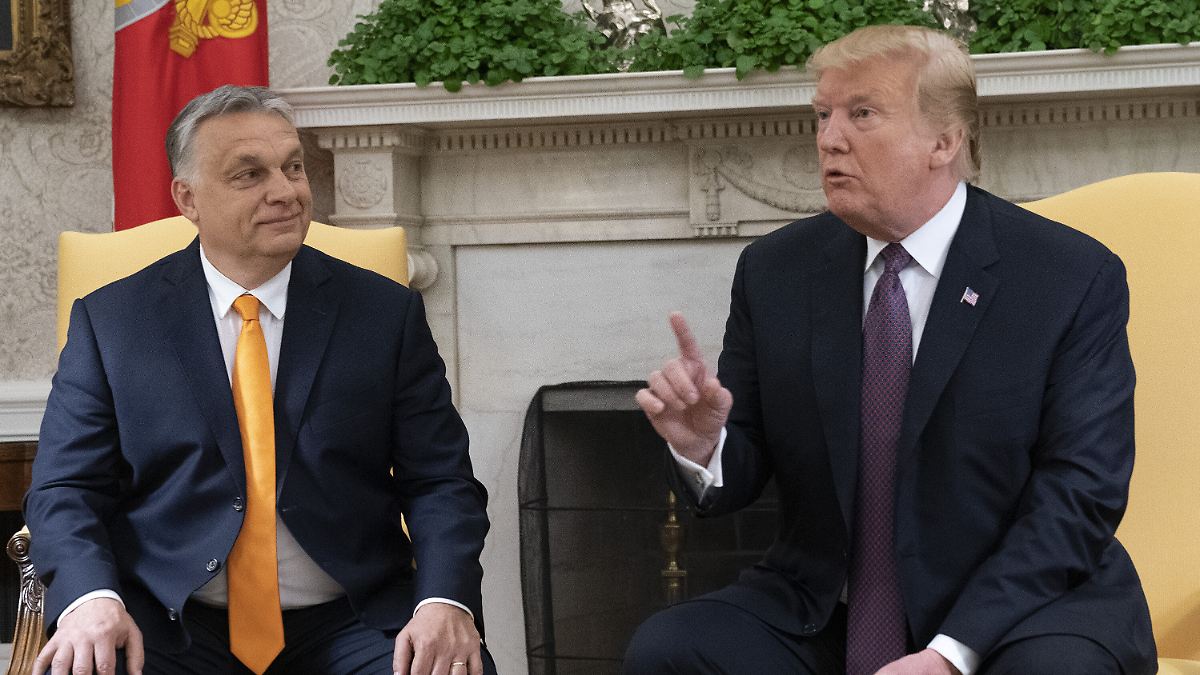 US-Präsident schreibt Orban: Trump ist "sehr wütend" über ukrainische Druschba-Angriffe