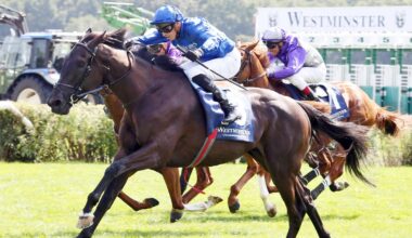 Rebel’s Romance ist der Hingucker in Hoppegarten