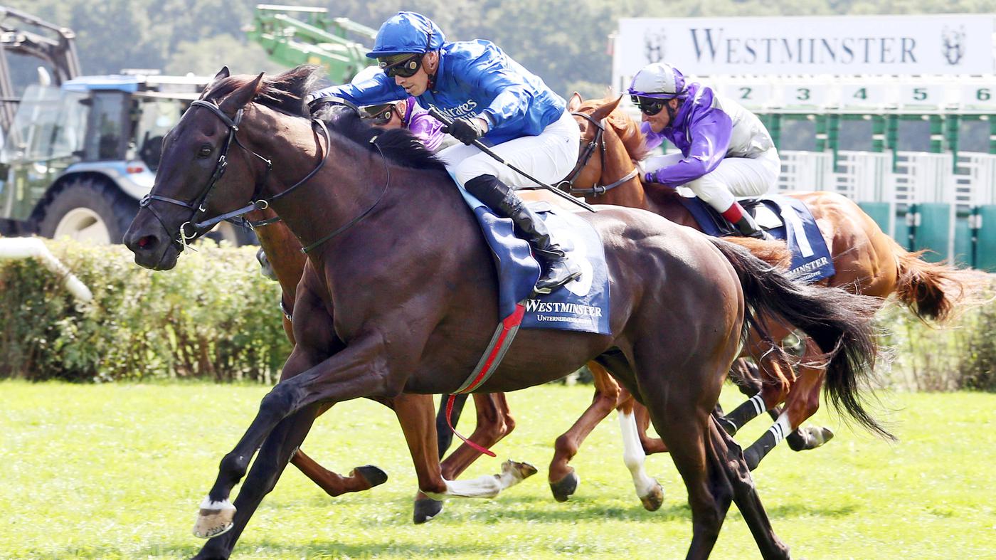 Rebel’s Romance ist der Hingucker in Hoppegarten