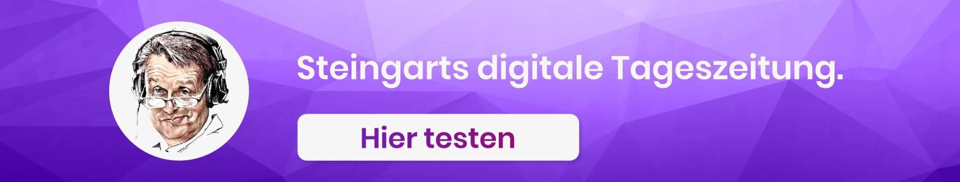 Steingart Widget 2
