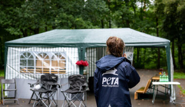 Paviane verfüttert: Animal Rebellion baut Camp vor Nürnberger Tiergarten auf