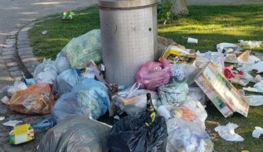 "Verliert seine Würde": Schockierender Anblick im Münchner Westpark