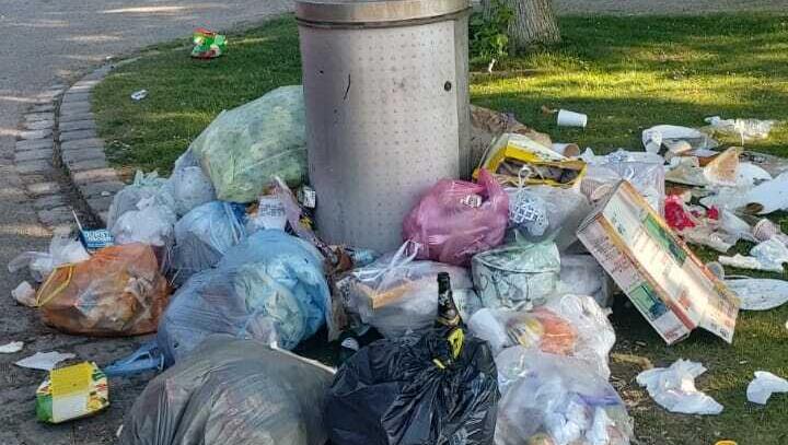 "Verliert seine Würde": Schockierender Anblick im Münchner Westpark