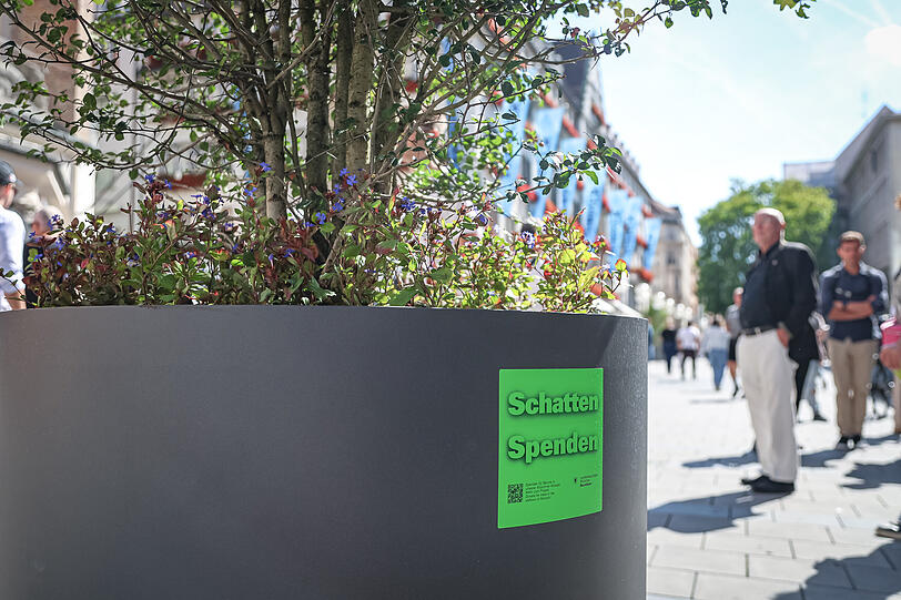 "Schatten Spenden" steht auf den Kübeln. Denn für die neuen Bäume sucht das Rathaus nach Geldgebern.