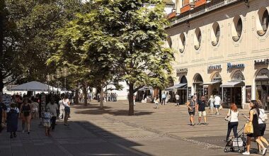 150 Bäume für die Altstadt in München: Die Stadt bittet um Spenden