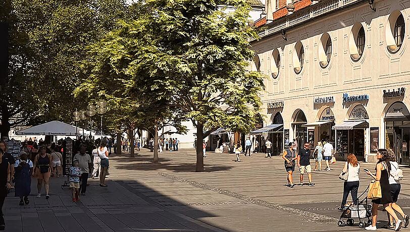 150 Bäume für die Altstadt in München: Die Stadt bittet um Spenden