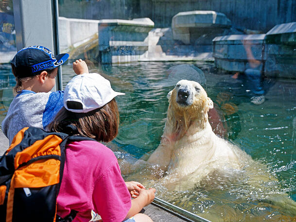 In Hellabrunn können Kinder Tiere aus aller Welt aus nächster Nähe bestaunen und etwas über sie lernen.
