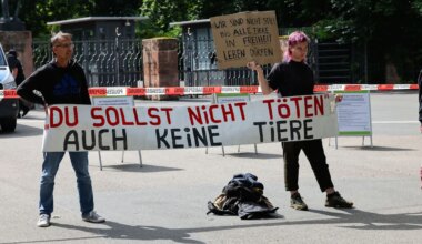 Nach Pavian-Tötung in Nürnberg: Tierschützer bauen Protestcamp auf - Bayern