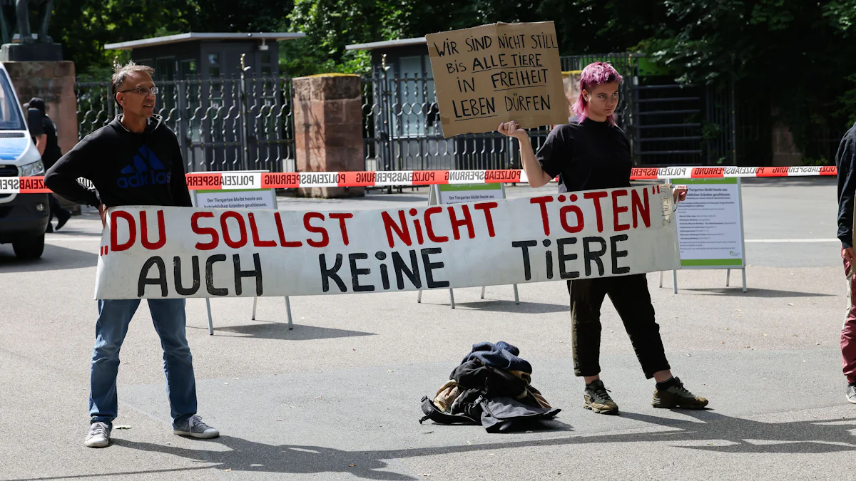 Nach Pavian-Tötung in Nürnberg: Tierschützer bauen Protestcamp auf - Bayern