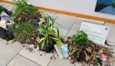Ausstellung zeigt Pflanzenvielfalt an Straßen und Wegen