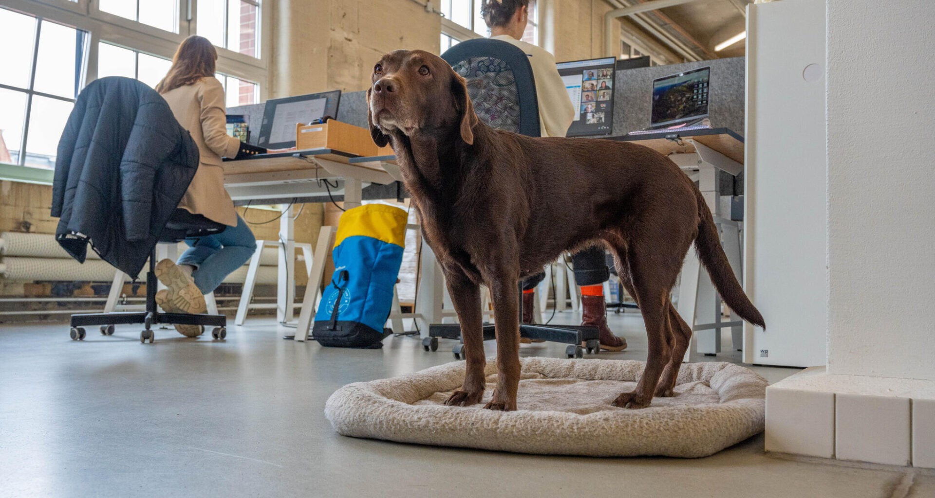 Staffbase führt wieder Vier-Tage-Woche ein
