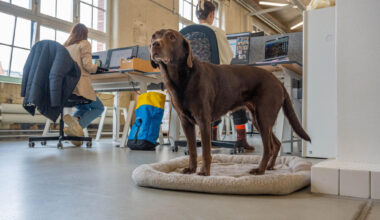 Staffbase führt wieder Vier-Tage-Woche ein