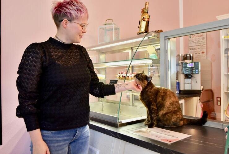 Schnurrendes Café auf dem Kaßberg