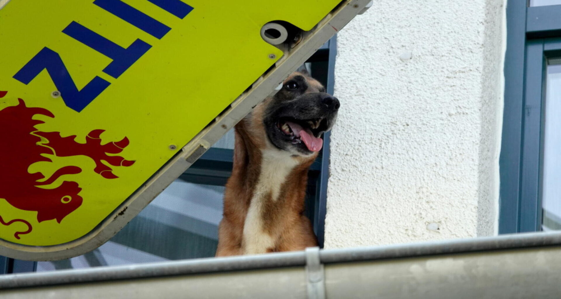 Ein kurioser Einsatz am Donnerstag auf dem Sonnenberg