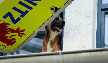 Ein kurioser Einsatz am Donnerstag auf dem Sonnenberg