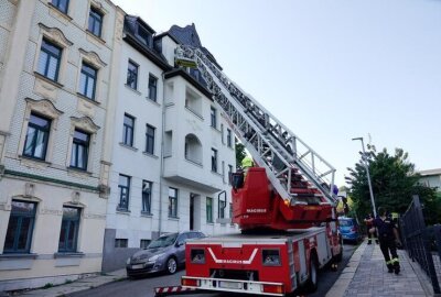 Einsatz in Chemnitz: Aggressiver Hund blockiert Rettung vom Dach - Drehleiter im Einsatz: Ein Hund wurde am Donnerstagnachmittag auf einem Dachvorsprung in Chemnitz gesichtet.