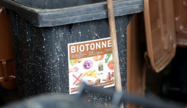 Zu viel falscher Müll - Tausende Biotonnen bleiben stehen