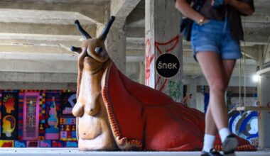 Ibug in Chemnitz eröffnet doch