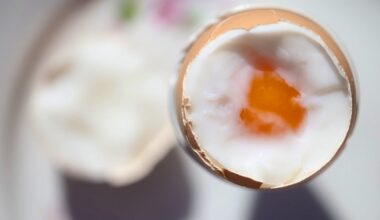 Eier? Ja bitte!: Studie räumt auf mit Cholesterin-Mythen