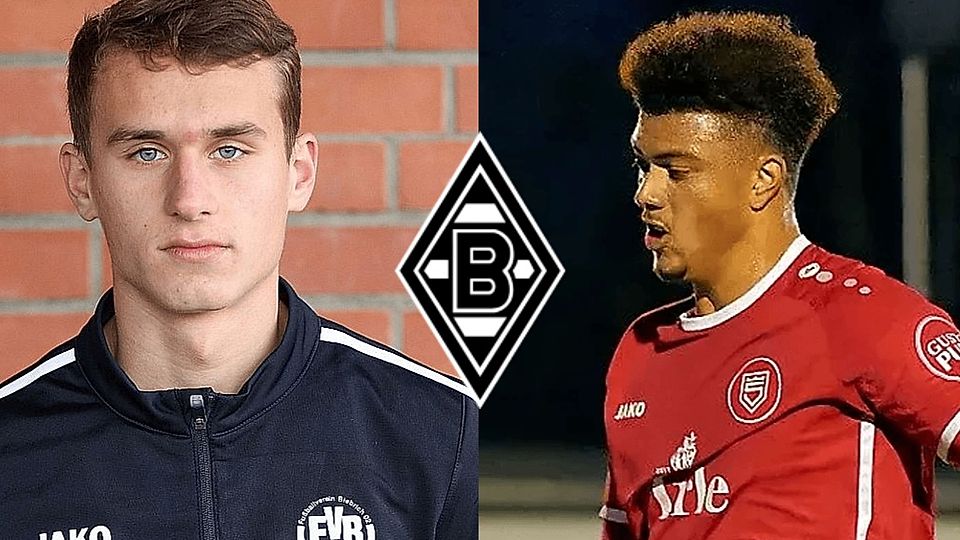 So präsentieren sich die Neuen der U23 von Borussia Mönchengladbach