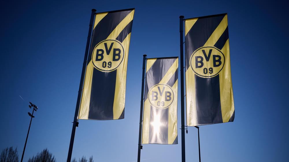 Borussia Dortmund: Schwarz-gelbe Vereinsfahnen: Die AfD hat laut Borussia Dortmund eine Unterlassungserklärung abgegeben.