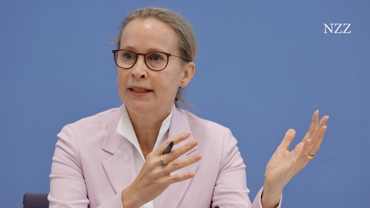 Neue Vorwürfe gegen Frauke Brosius-Gersdorf: Bei Doktorarbeit betrogen?