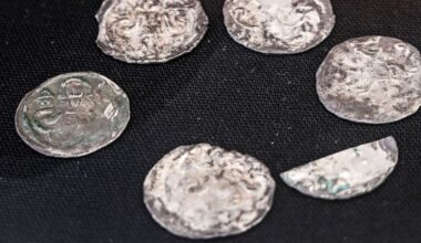 Mittelalterliche Denare aus dem 13. Jahrhundert gehören zu den Funden, die bei archäologischen Grabungen am Molkenmarkt während Bauarbeiten gefunden wurden.
